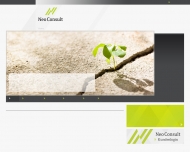 Bild Neo Consult GmbH & Co. KG