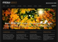 Bild mediaservice wasmuth GmbH