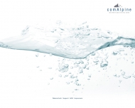 Bild comAlpine Informationssysteme GmbH