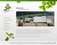 Bild Rudolf Sinn GmbH Jungpflanzen