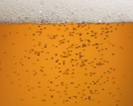 Bild Palais Gastronomie GmbH & Co.KG.