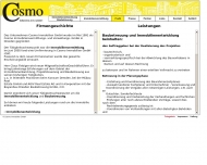 Website Cosmo Immobilien