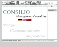 Bild Consilio Management Consulting Limited Niederlassung Deutschland