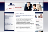 Bild Consilium Gesellschaft fr Managementberatung mbH
