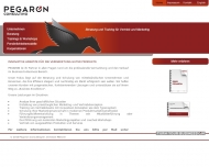 Bild Pegaron Consulting