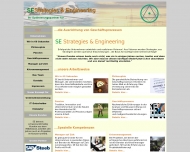SE - Strategie Engineering