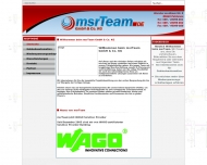 Bild msr Team GmbH & Co. KG