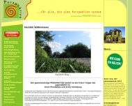 Bild PERSPEKTIVE Jugend und Familie GmbH