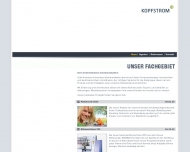 Bild Kopfstrom GmbH