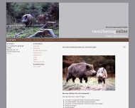 Bild full-Concept-brandt GmbH