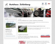 Bild Autohaus in Schnberg GmbH