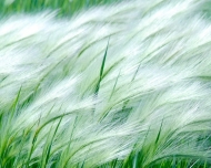 Bild FUTAG Umwelttechnik Aktiengesellschaft