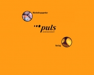 Bild puls entertainment GmbH