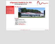 Bild Allgummi GmbH & Co. KG