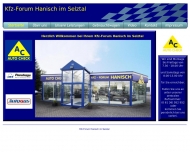 Bild Immobilien u. Fahrzeuge Hanisch GmbH & Co. KG Schadstoffsanierung