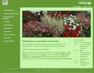 Bild Innovaplant Zierpflanzen Verwaltungs GmbH