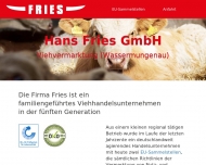 Bild Hans Fries GmbH