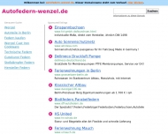 Bild Auto-FEDERN Wenzel