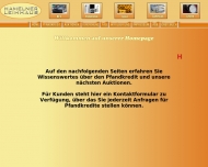 Bild Hamelner Leihhaus GmbH