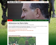 Bild Mario Hofer GmbH
