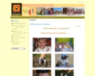 Bild Vogelnest GmbH