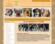 Bild HundeNothilfe 4 Pfoten e.V.