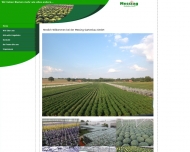 Bild Messing Gartenbau GmbH