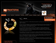 Bild Pantera Communications Verwaltungs GmbH
