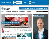 Bild Bitzinger - Computer und Internet Solutions GmbH