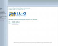 Bild Illig Dienstleistungen GmbH