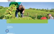 Bild Landschaftspflegeverband Wrzburg e.V.