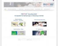 Bild PROFIT100 Consulting - Darmstadt