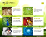 Website Klickkomplizen