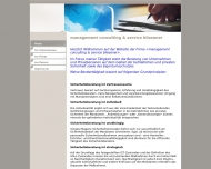 Website management consulting & service bliesener