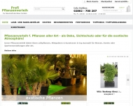 Bild Profi Pflanzenverleih