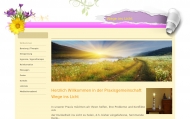 Bild Wege ins Licht
