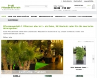 Bild Profi Pflanzenverleih