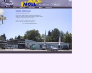 Bild Moll Martin Autolackiererei