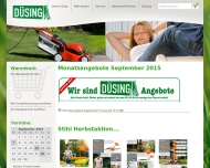Bild Dsing GmbH