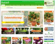 Bild Bakker Holland
