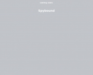 Bild Spybound