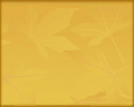 Bild Seniorenheim Aueblick Inh. Petra Daniel - Alten- und Pflegeheim Lange Inh. Petra Daniel