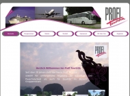 Bild Reisebro Profi-Touristik GmbH
