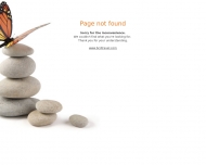 Website BCD Travel
