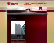 Bild LILIYA WILLMER Int. Spedition und Umzge