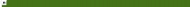 Website Bergmann & Franz
