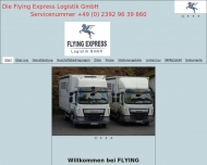 Bild Flying Express