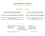 Website ITS Seffner & Schlesier