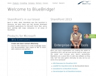 Bild BlueBridge Technologies AG - The SharePoint Experts