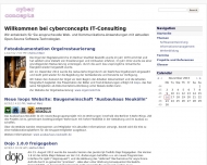 Bild cyberconcepts IT-Consulting